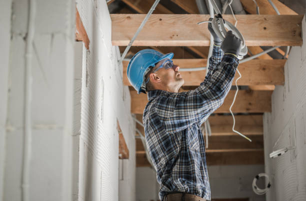 Best Electric Panel Repair  in Lake Montezuma, AZ